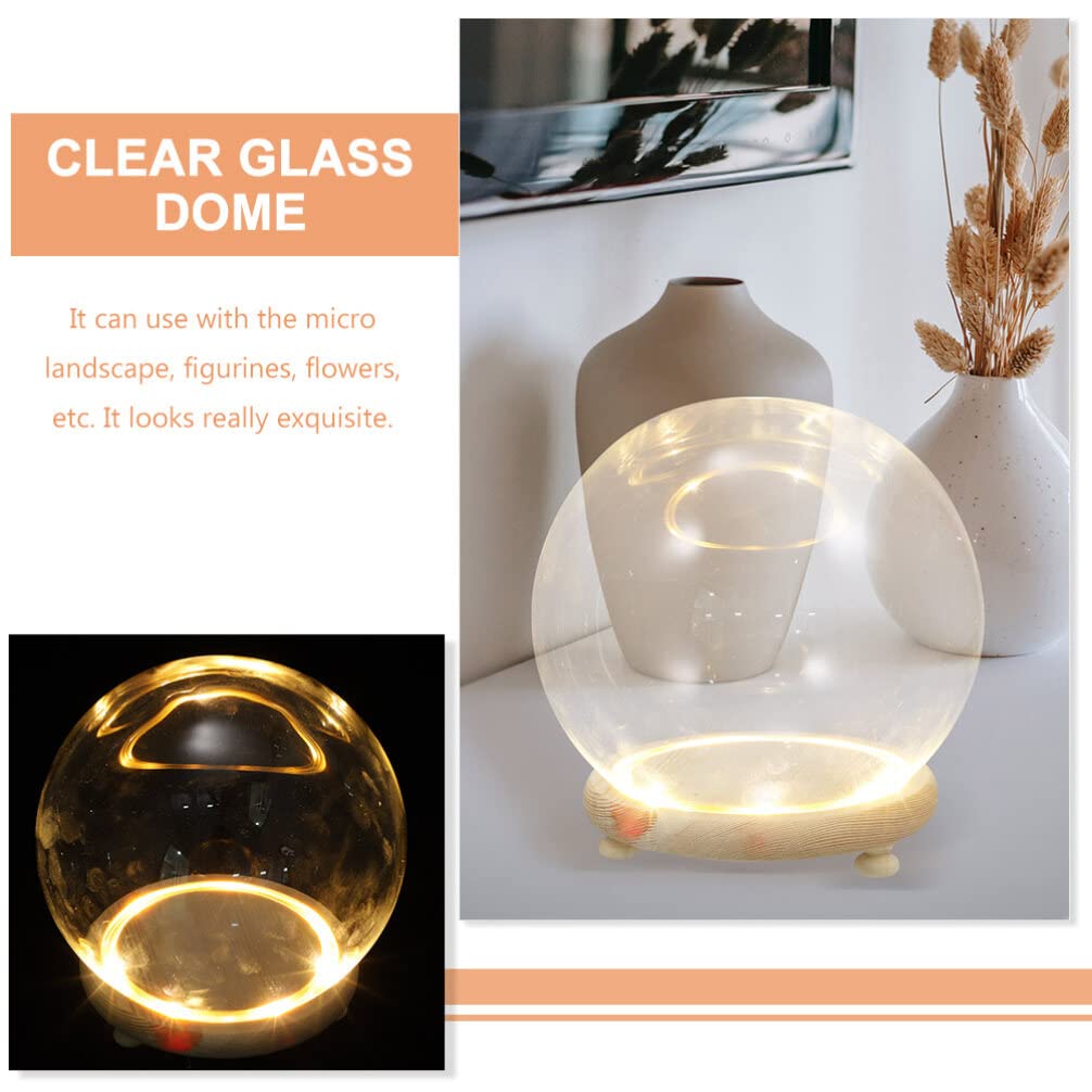 ABOOFAN Clear Glass Cloche Globes Display Dome Bell Jar with Wood Base LED Light 10cm DIY Craft Present Keepsake Globe Display Case Terrarium for Valentines Day Preserved Flower Plant Succulent