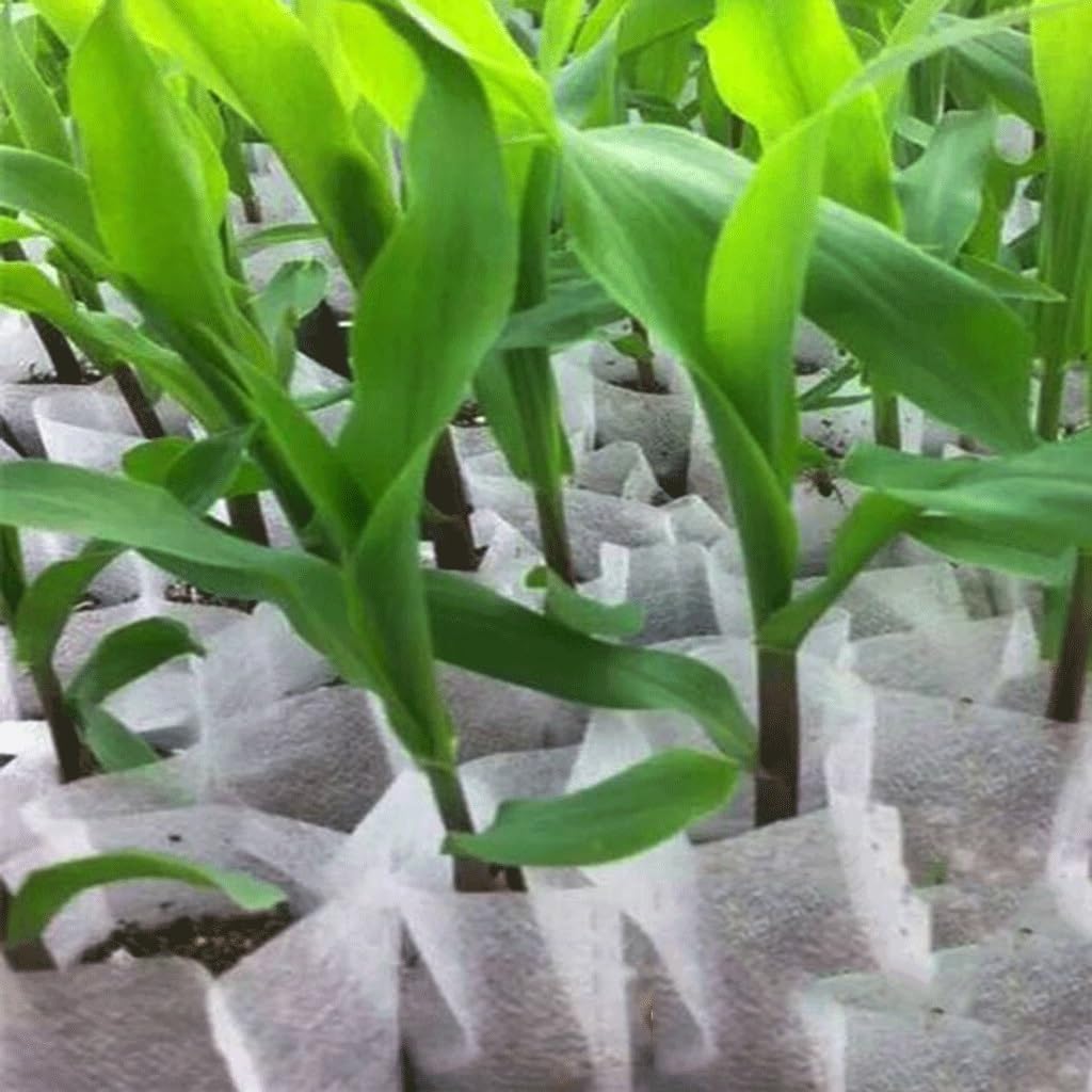 EVANEM 100Pcs Biodegradable Non-Woven Seedling Pots Eco-Friendly Planting Bags Nursery Bag, Plant Grow Bags Garden Accessories(12x13cm(Diameter7High9.5))