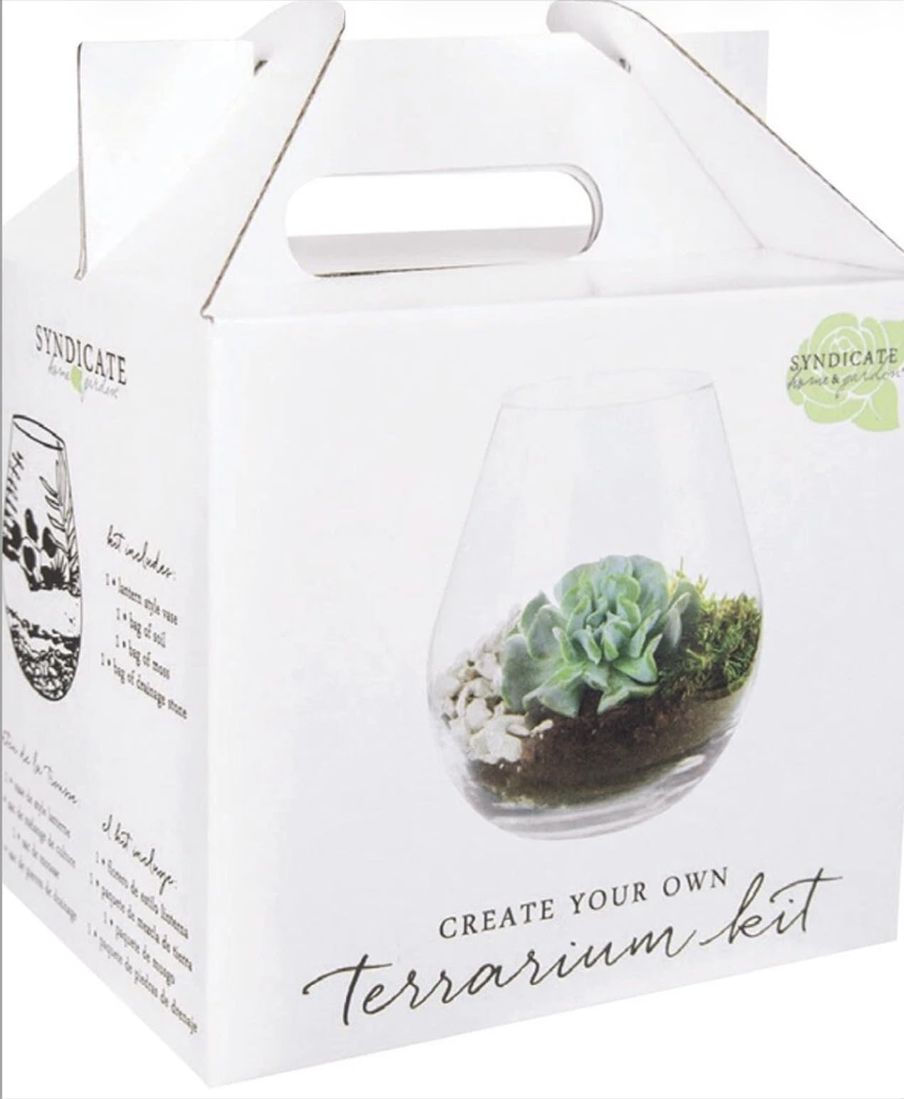 Syndicate Glass Lantern Terrarium Kit, Clear, 14 x 6 x 14 Inches, Hand Wash, Indoor Planter for DIY Projects, Create Your Own Design