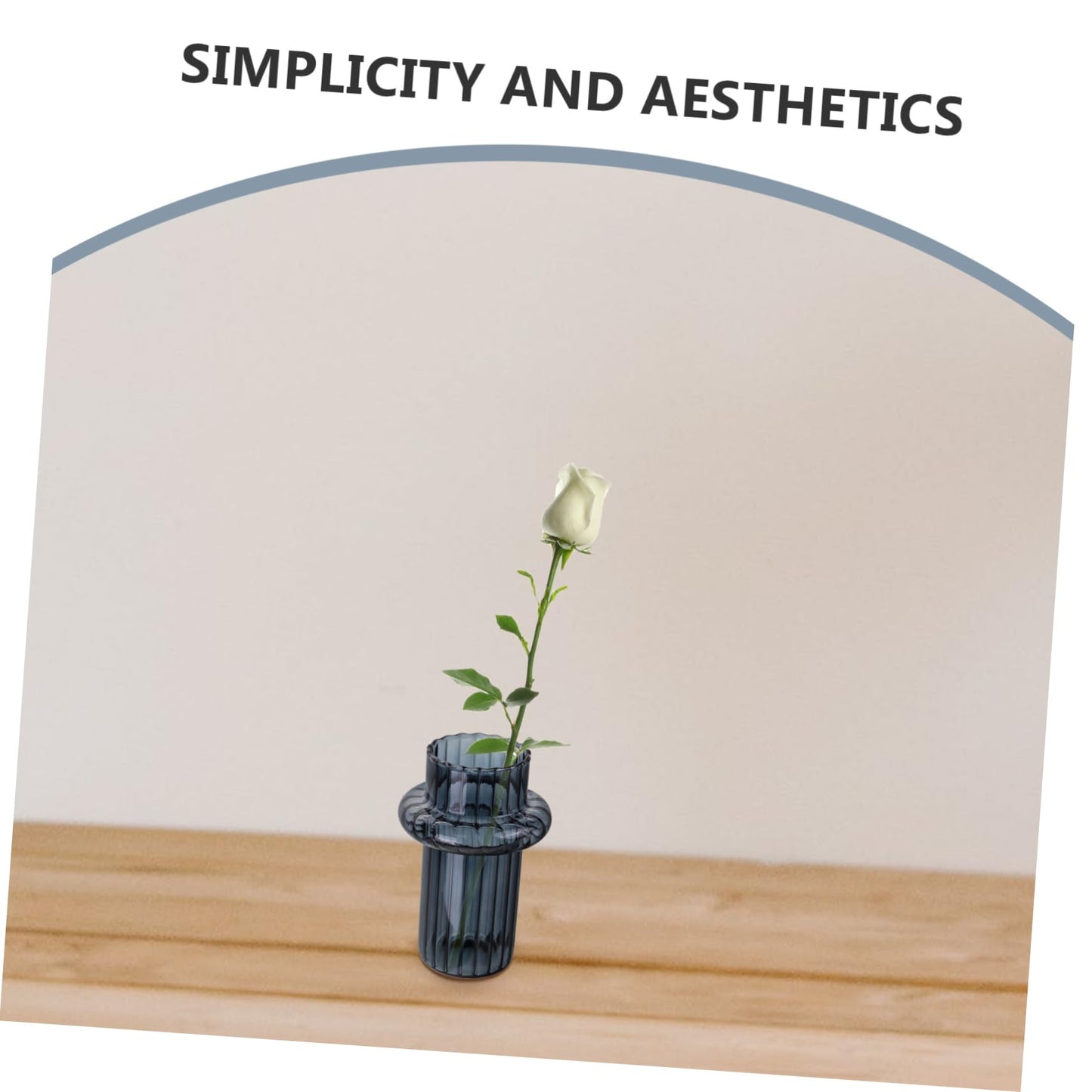 GANAZONO Glass Hydroponic Vase for Desktop Decoration Minimalist Style Terrarium Plant Holder for Decor