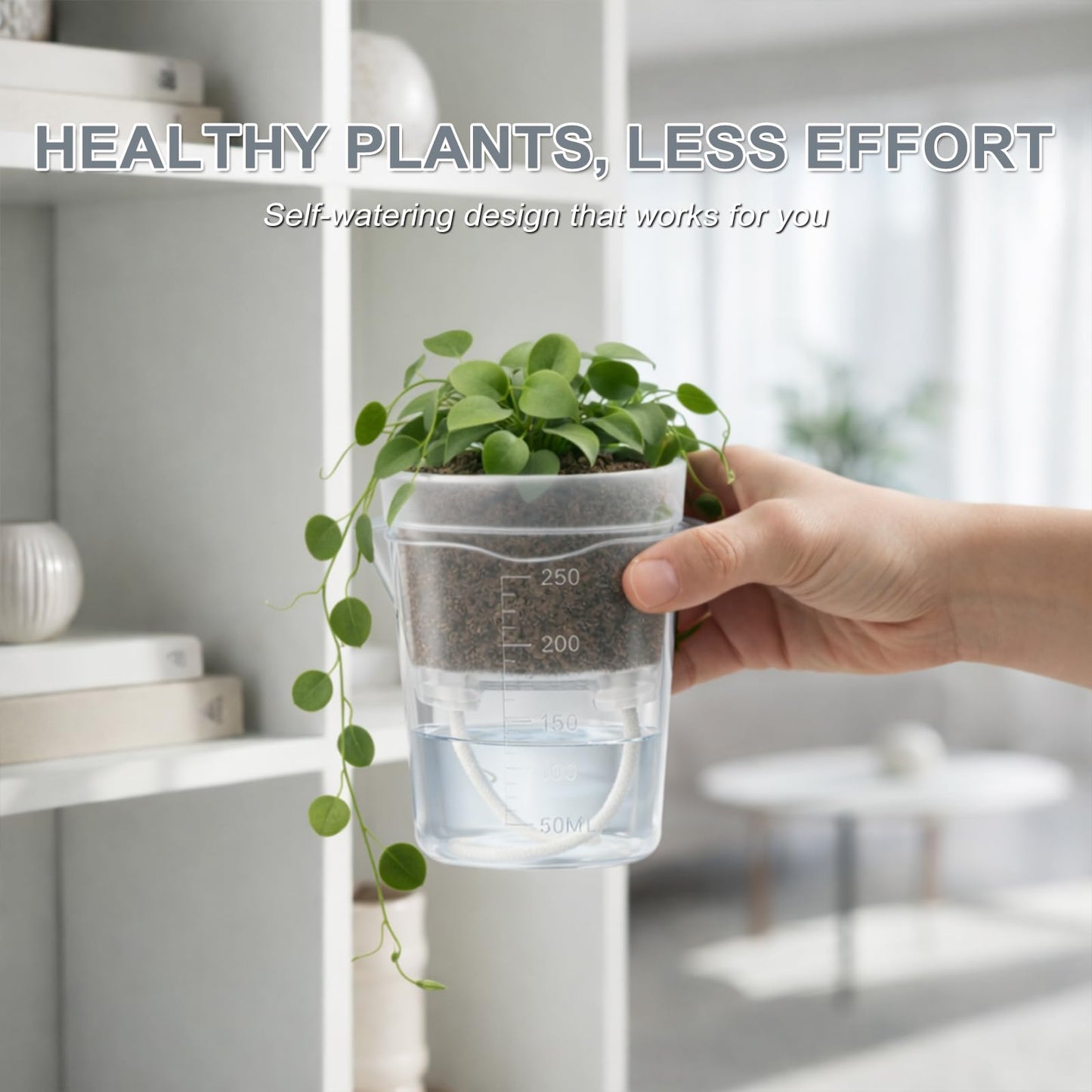 12 Pack 2.5" Small Self Watering Pots for Indoor Plants, Mini Clear Plastic Planters with Water Level & Drainage Holes, 12 Plant Labels, Semi-Hydro Propagation Pots for Succulents, African Violets