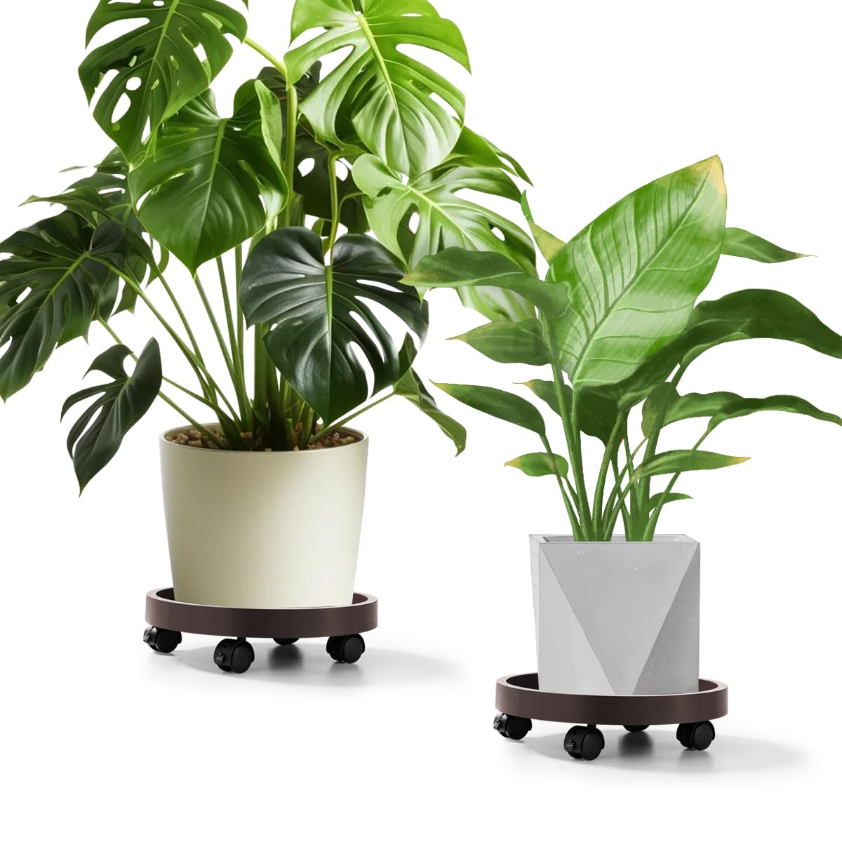 Maxurry 2Pack Plant Caddy with Wheels Plastic Round Plant Dolly Lockable Caster Wheels Holder For Planter Potter Display Stand Inoor Outdoor Using Decoration(Brown)
