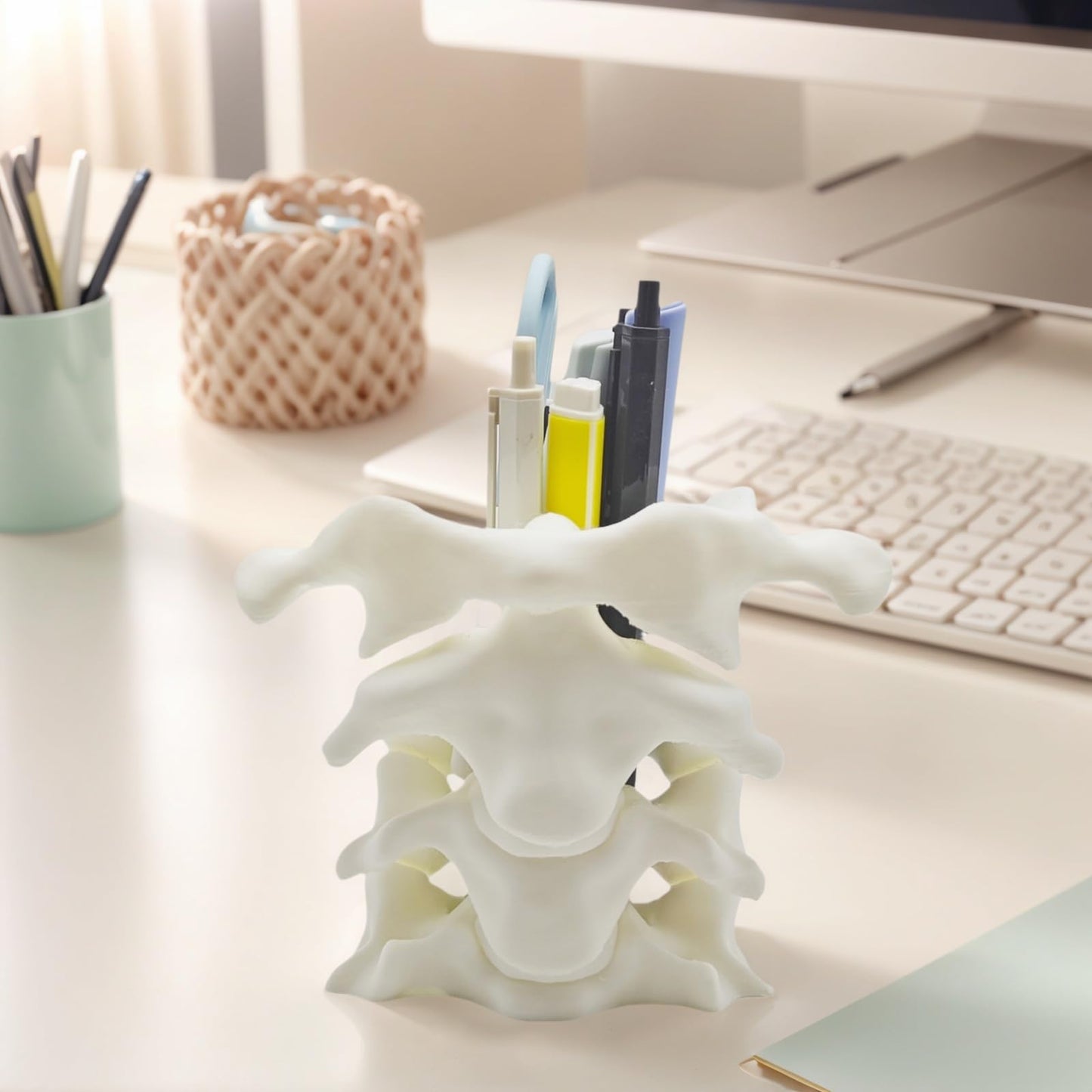 TIME&TRAVE Unique Spine Pen Holder for Desk, Pencil Holder Desk Organizers, Office Supplies Decorations Idea Gift for Doctors, Nurses, Chiropractors