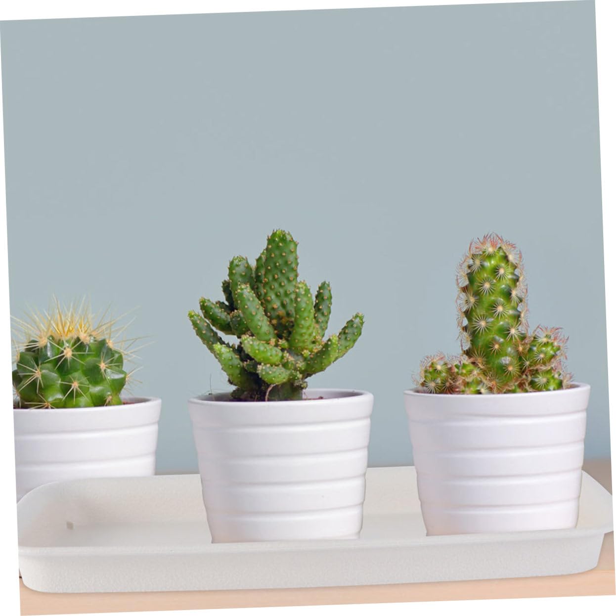 BESPORTBLE Planter Tray: 4pcs Plastic Plant Saucer, Rectangular Planter Pot Saucers, Plant Trays Rectangle Square Pans