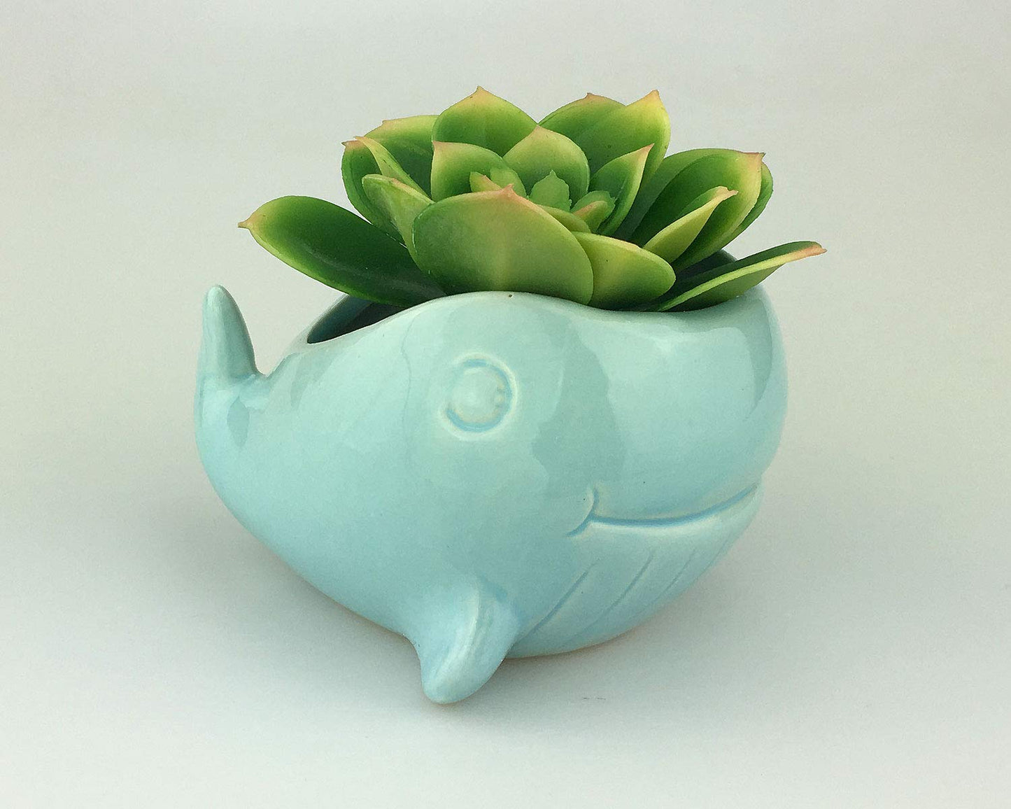 VanEnjoy 5" Ocean Blue Whale Ceramic Succulent Pot, Medium (3.86 x 4.64 x 2.87 inches), Indoor Use