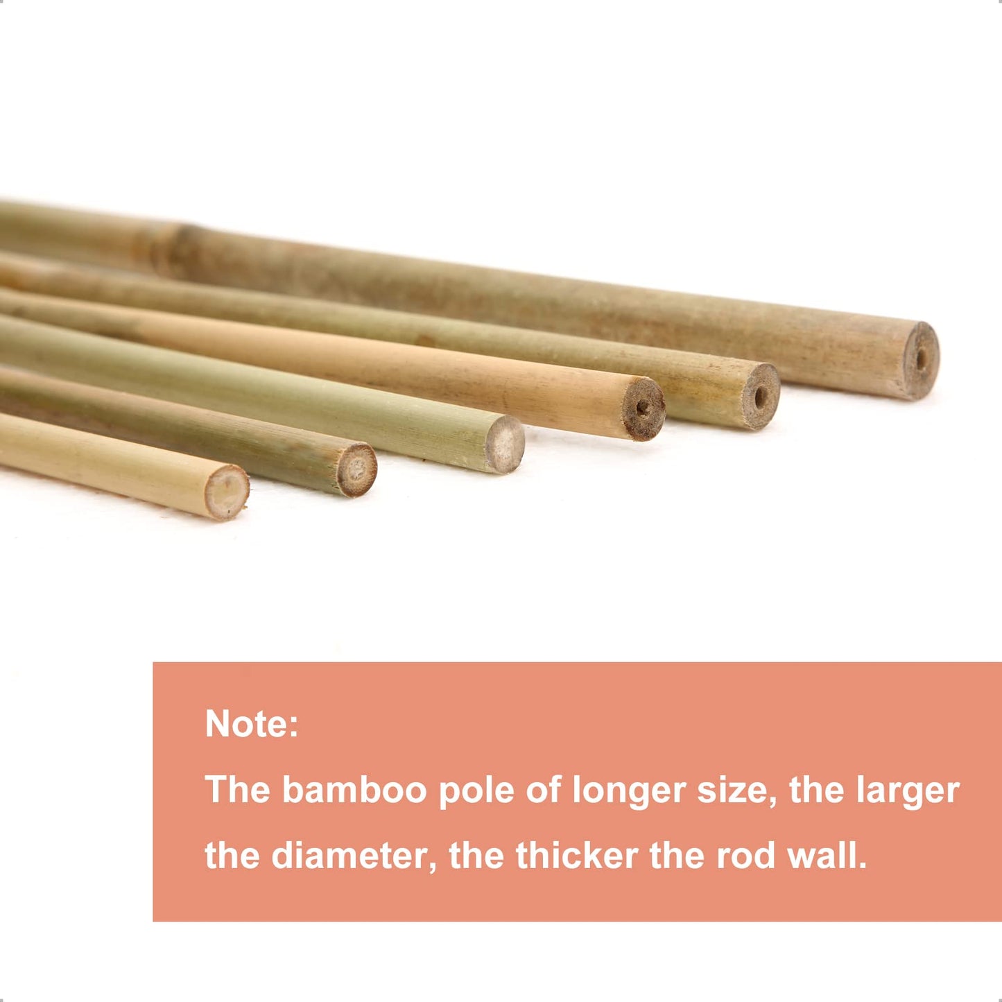 COLOtime Bamboo Stakes 58 Inch (Approx 5FT) Garden Stakes Plant Stakes for Outdoor Climbing Plants Poles Sticks Support Tomatoes 20 Pack