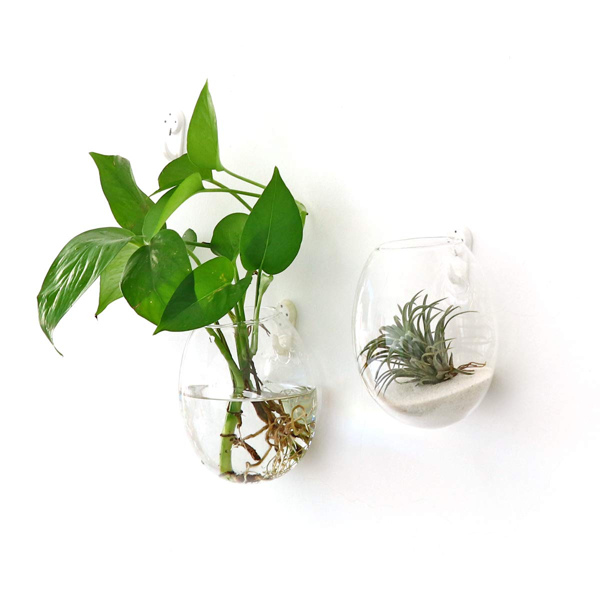 Kingbuy Wall Hanging Propagation Station Glass Plant Terrarium Container Egg Shape for Propagating Hydroponic Plants Home Office Garden Decor Wedding, 4 Pack