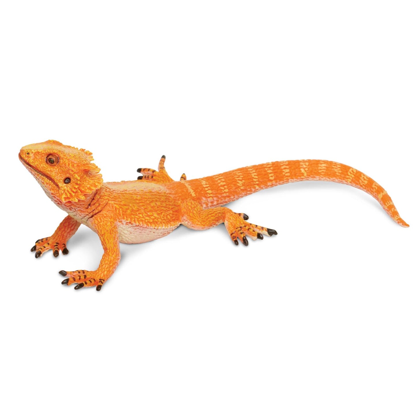 Safari Ltd. Bearded Dragon Figurine - Detailed 8.5" Plastic Model Figure - Fun Educational Play Toy for Boys, Girls & Kids Ages 18M+