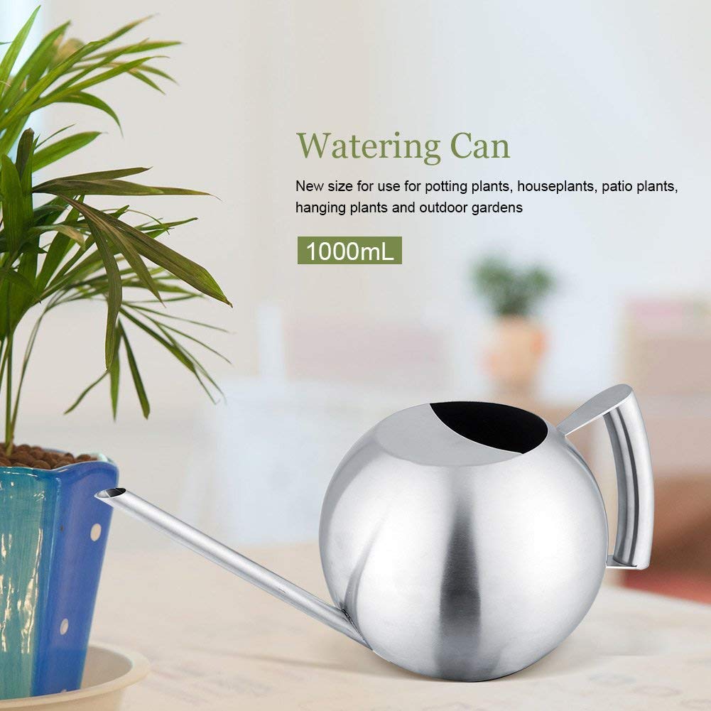 Fdit Watering Can for Indoor Plants, Stainless Steel, Long Spout, 1.0L, Silver, 11.42 Inch