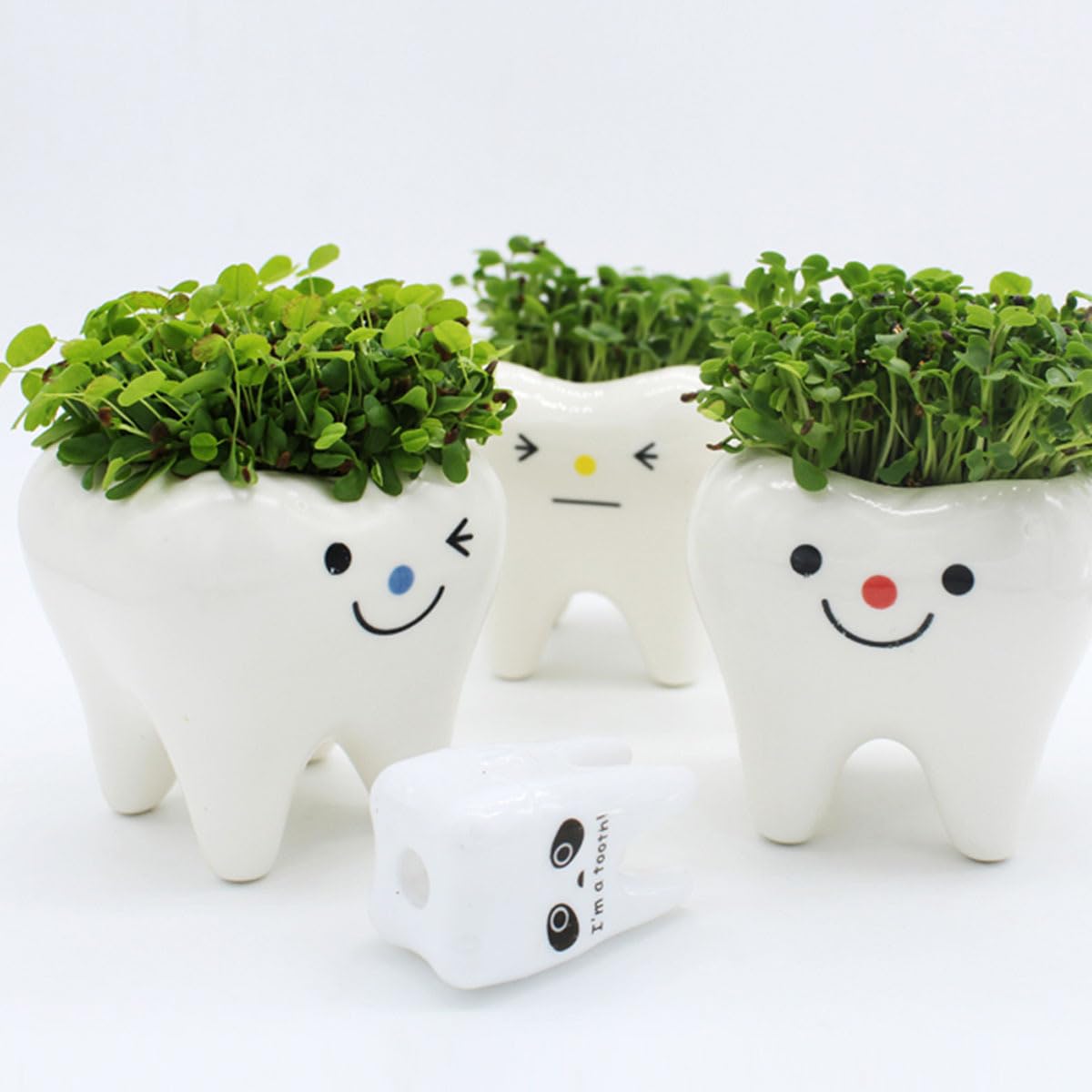 Amosfun Mini Tooth Shaped Ceramic Flower Pot Set 2 Pack - 2.54 Inch Succulent Planters for Home Office Desk Decor and Small Plant Display