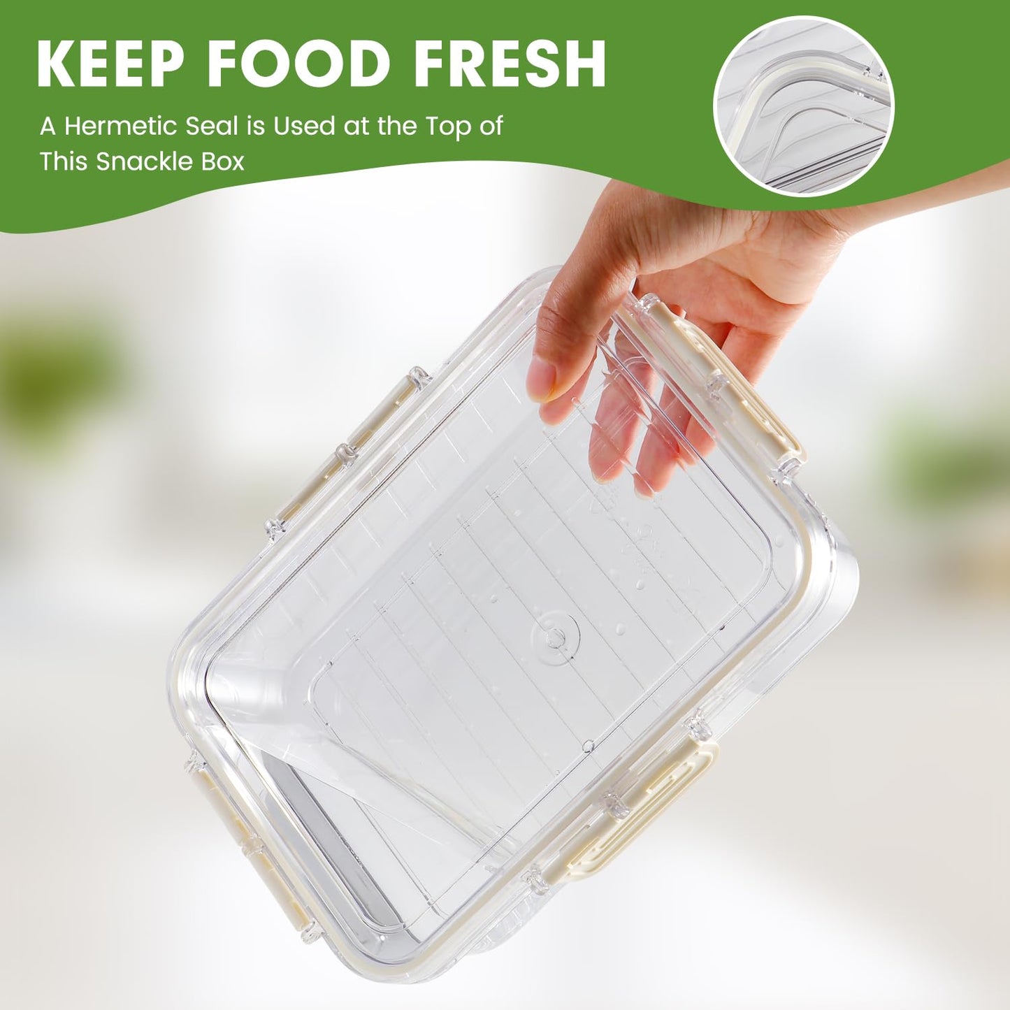 Tobiwibby Divided Serving Tray with Lid and Handle, Snackle Box Container mit 4 Compartments Clear Serving Platters and Trays,Snack Platters for Veggie Fruits Snacks Nuts, for Picnic Party Travel