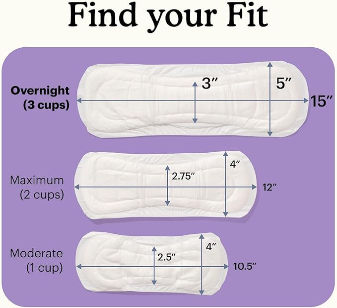 Because Incontinence Pads for Women - Extra Heavy Absorbency, Overnight Postpartum Incontinence Liners, 12hr Nighttime Leak-Free Protection, 6 Packs of 20 Count (120 Total)