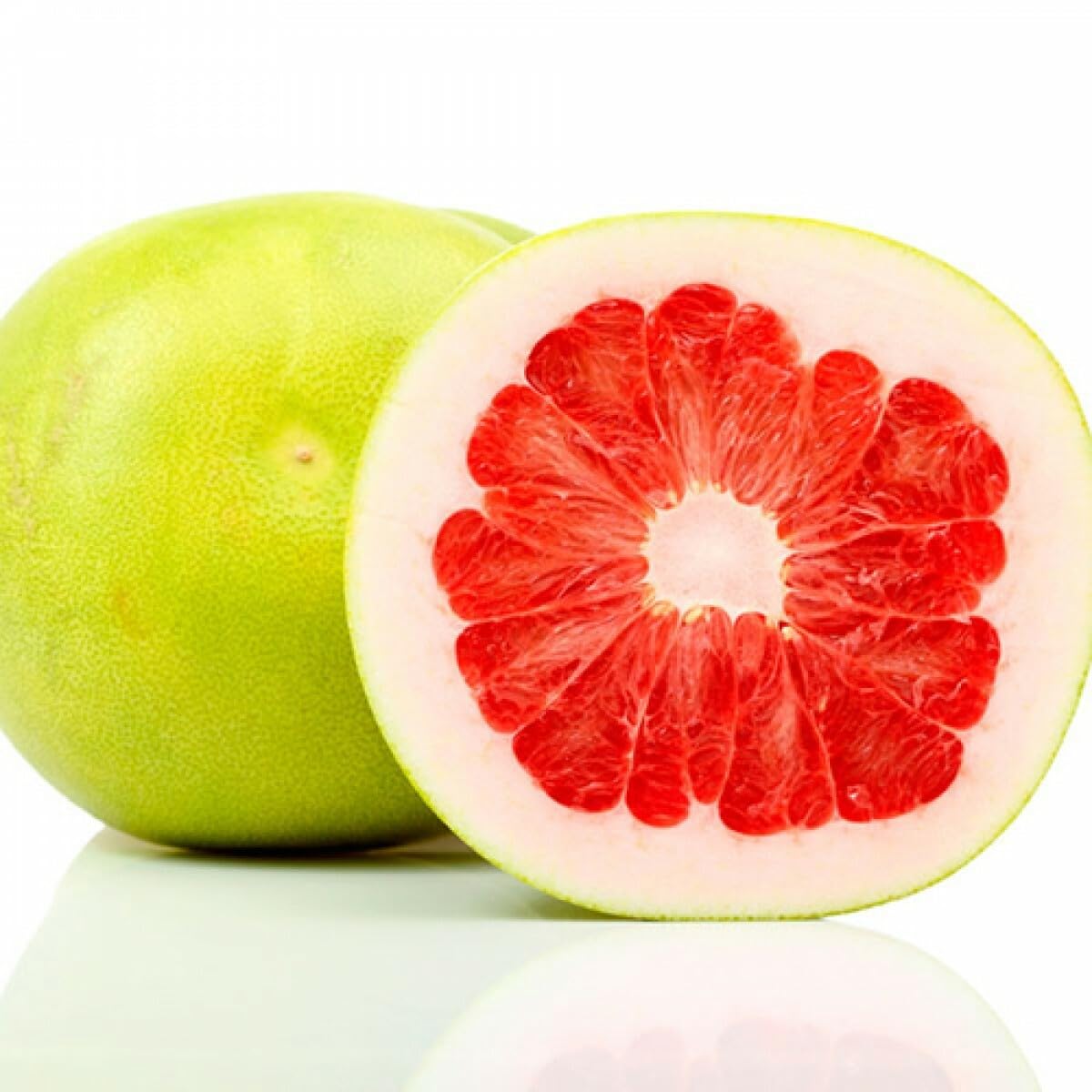 Live Plant - Chandler Pummelo Grapefruit Tree - Semi-Dwarf - 24-36" Tall - Live Citrus Plant