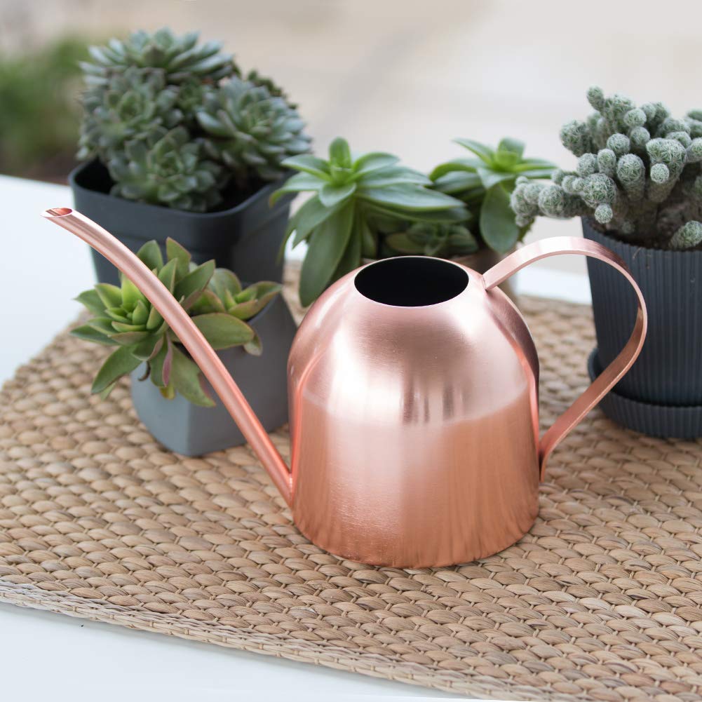 E.Palace Small Watering Can Indoor Plants Metal Watering Cans 15oz Capacity Cute Design for House Plants & Gardens (Rose Gold 15 oz)