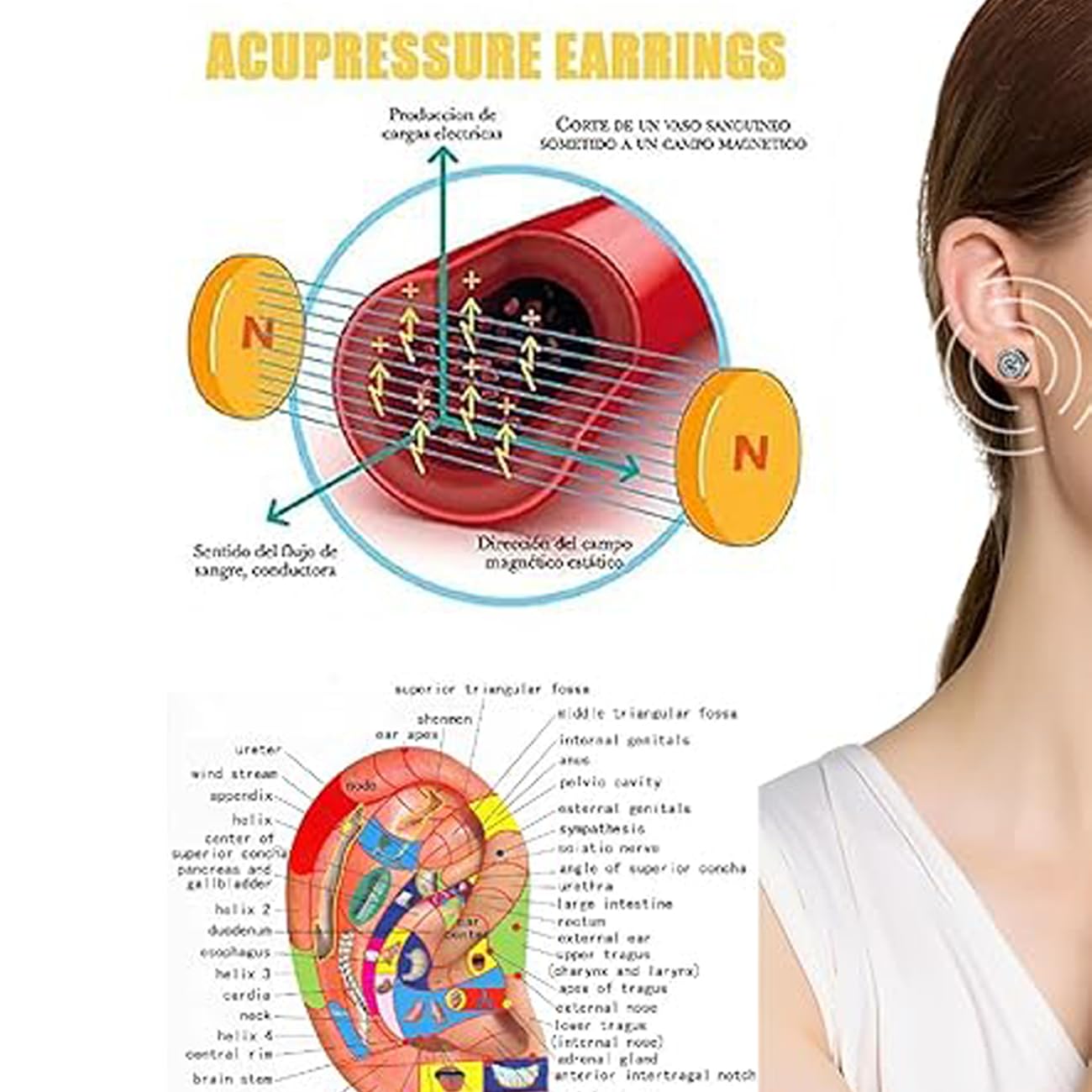 Lymphatic Earrings, 2 Pairs Histone Lymphvity Magnetotherapy Germanium Earrings Gold Silver Hypoallergenic Unique Elegant Hoop For Women Men Jewelry Gift (Silver)