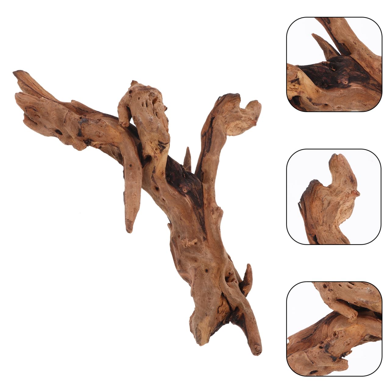 POPETPOP Natural Driftwood for Aquarium Decor - 9.8×5.9" Unique Wood Branch Fish Tank Decorations & Reptile Tank Accessories, Drift Wood Log for Leopard Gecko Terrarium Accessories