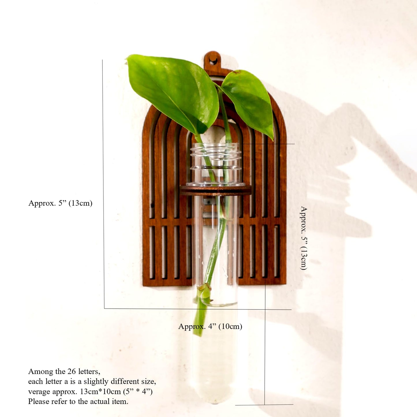 5 Pack Letter Wall Propagation Planters Test Tubes Wall Decor for Hanging Plants Clear Water Plant Vase Brown Wood Upletter Alphabet Functional Art Boho Set Dream