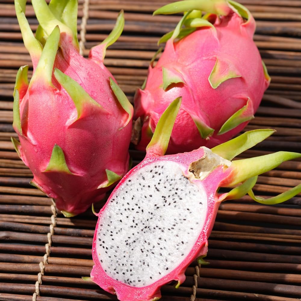 Dragon Fruit Plant Live in 3 Gallon Pot, Tropical Fruit Tree Cactus for Outdoors