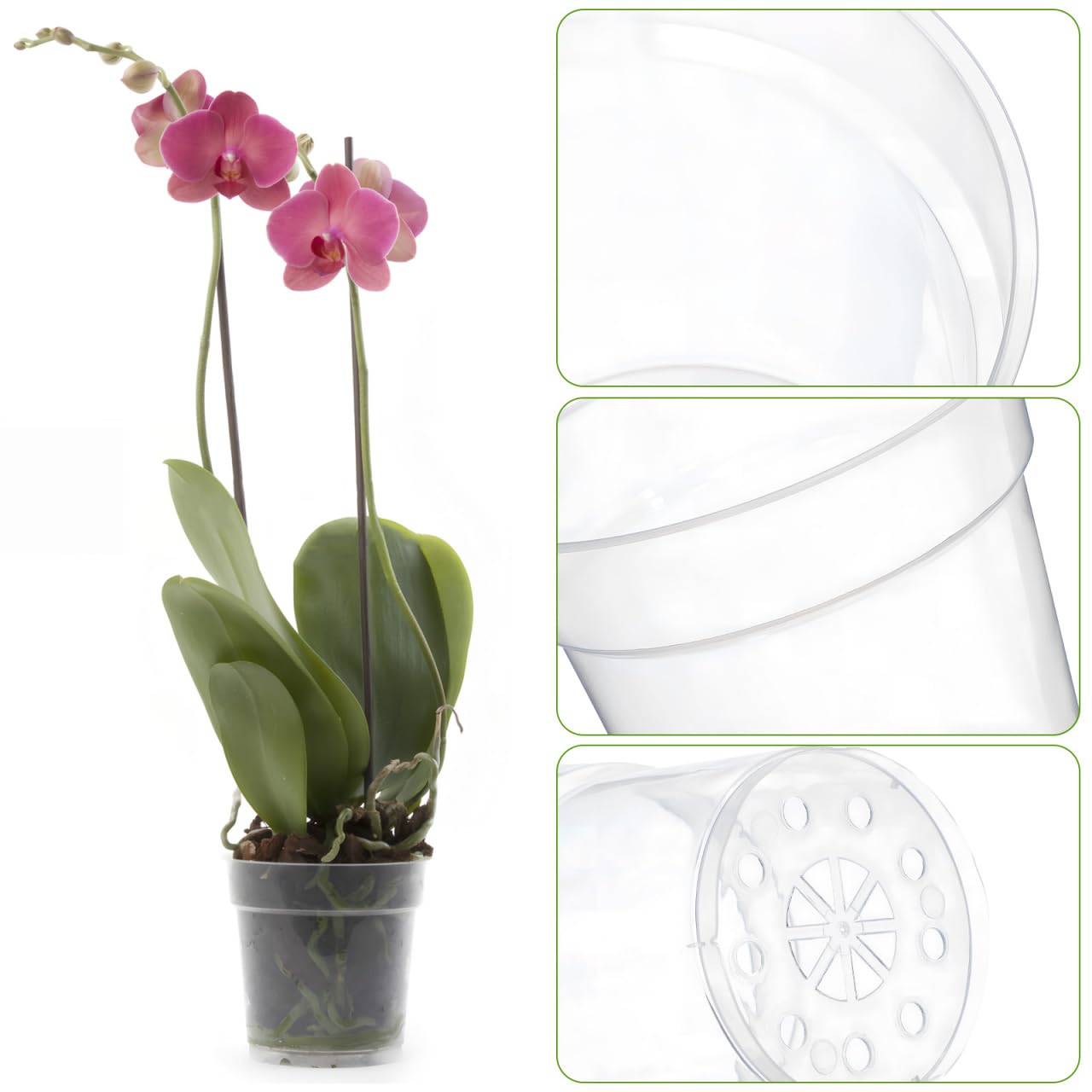 Totority Clear Orchid Nursery Pots 10-Pack 3.5-Inch Transparent Root-View Plastic Cups with Drainage Holes for Healthy Seedlings, Reusable Indoor & Outdoor Planter for Orchid Growers