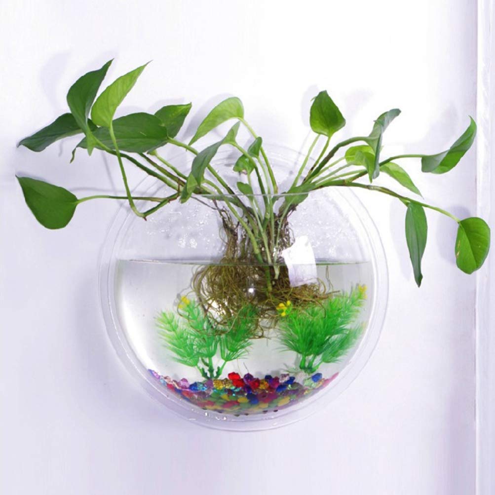 iplusmile Wall Mounted Planter 6.7 Inch, Clear Acrylic Hanging Bubble Vase for Plant Propagation Air Plants, Shatterproof Round Terrarium Bowl for Home Office Decor