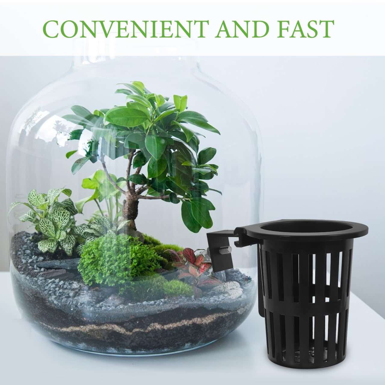 Totority Wall Mounted Hydroponic Sweet Potato Basket 2-Pack Small Hanging Plant Rack for Indoor Outdoor Fish Tank Planter Space Saving Vegetable Garden