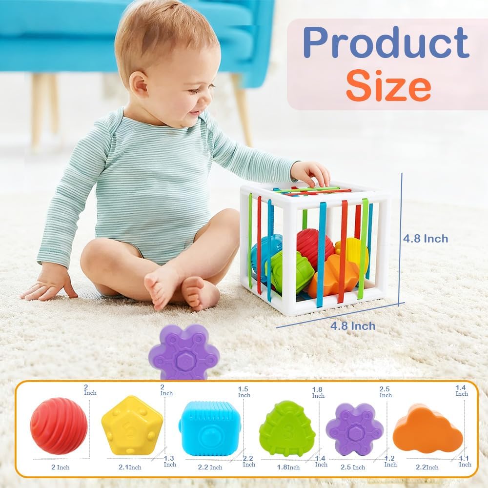 EasierLTtoys Suitable for 1-Year-Old Babies, 6-piece Multi-Sensory Shape Toys, Early Childhood Development Learning Birthday Gift, 12-Month Baby Toys