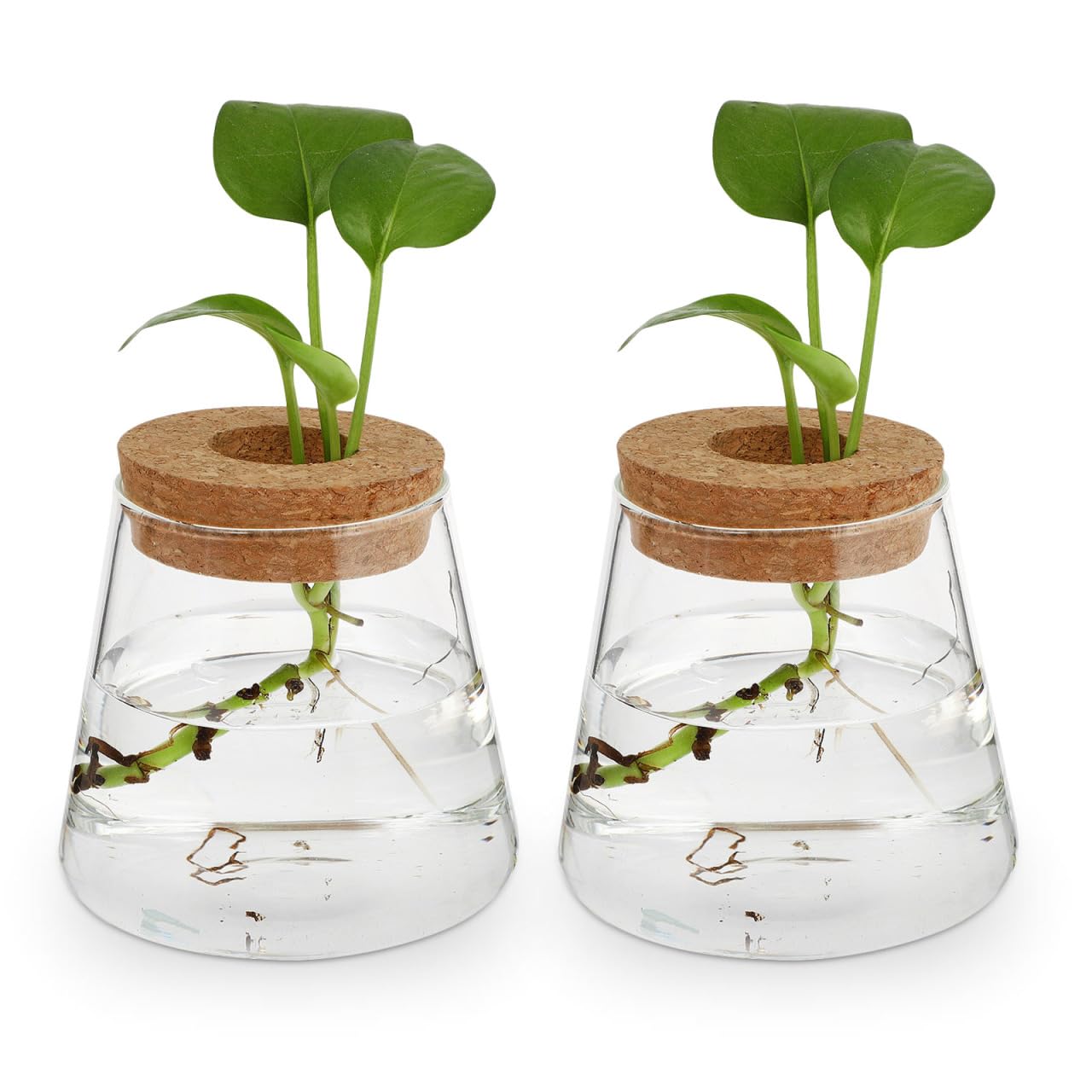 Garneck 2Pcs Desktop Glass Terrarium Transparent Glass Hydroponic Planter Vase Set Micro Landscape Terrarium Container for Home and Office Decor