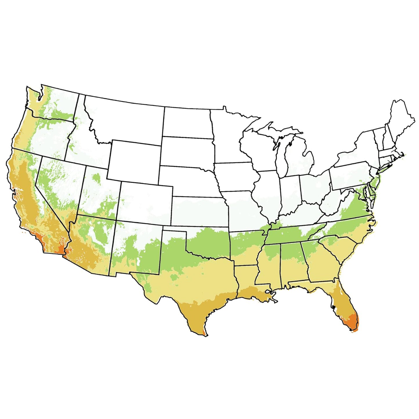 Southern Live Oak, Shade Tree, 7 gal. Nursery Pot (Due to Agricultural Laws, we Cannot Ship to CA, AZ, AK, or HI)