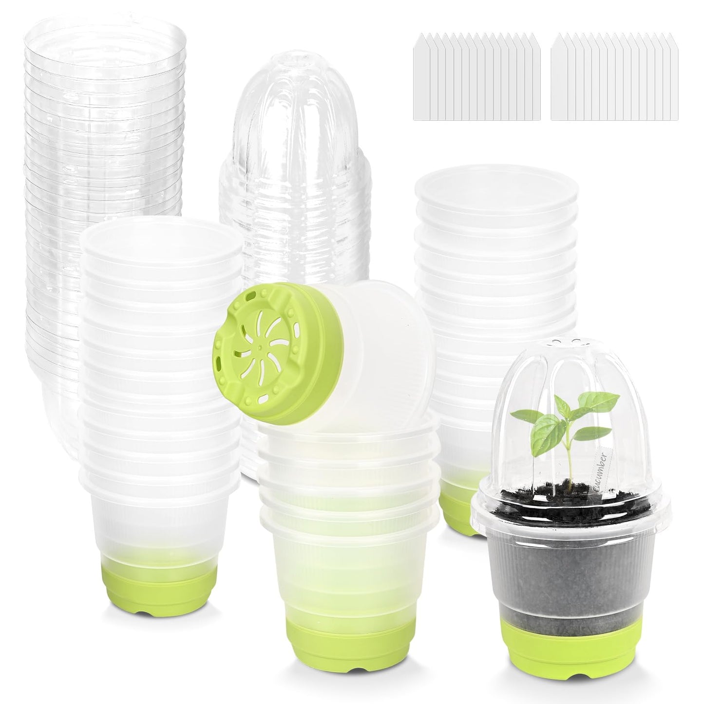 Sckee Clear Nursery Pots for Plants, 30 Packs Plastic Seed Starting Pots with Drainage Holes Plant Nursery Pots Silicone Base (Light Green, 4 inch with lids)