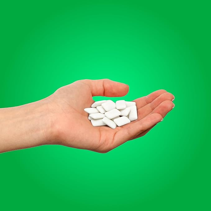 PUR Gum | Aspartame Free Chewing Gum | 100% Xylitol | Natural Spearmint Flavored Gum, 55 Pieces (Pack of 6)