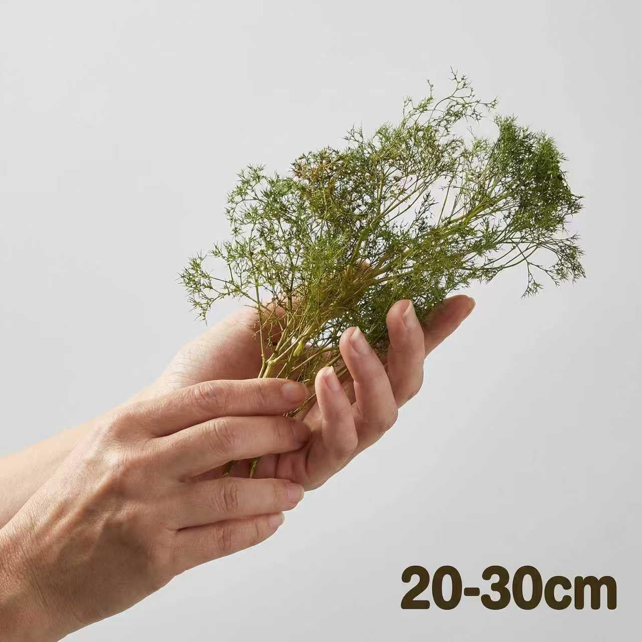 ZZZ SAN ZHI Model Building Materials for Model Trains, Plastic Model Parts & Accessories, Hobby Building Supplies for Railroad Layouts, (Green)