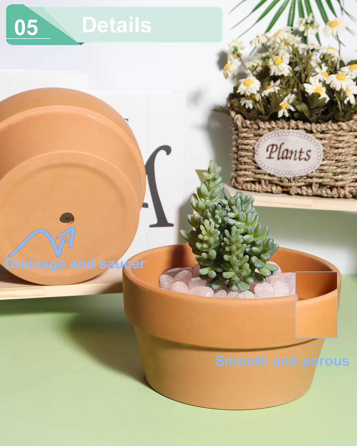 vensovo 8 Inch Terracotta Shallow Succulent Pot - 2 Pack Large Terra Cotta Clay Pot, Cacuts Indoor and Outdoor Planters with Drainage Hole