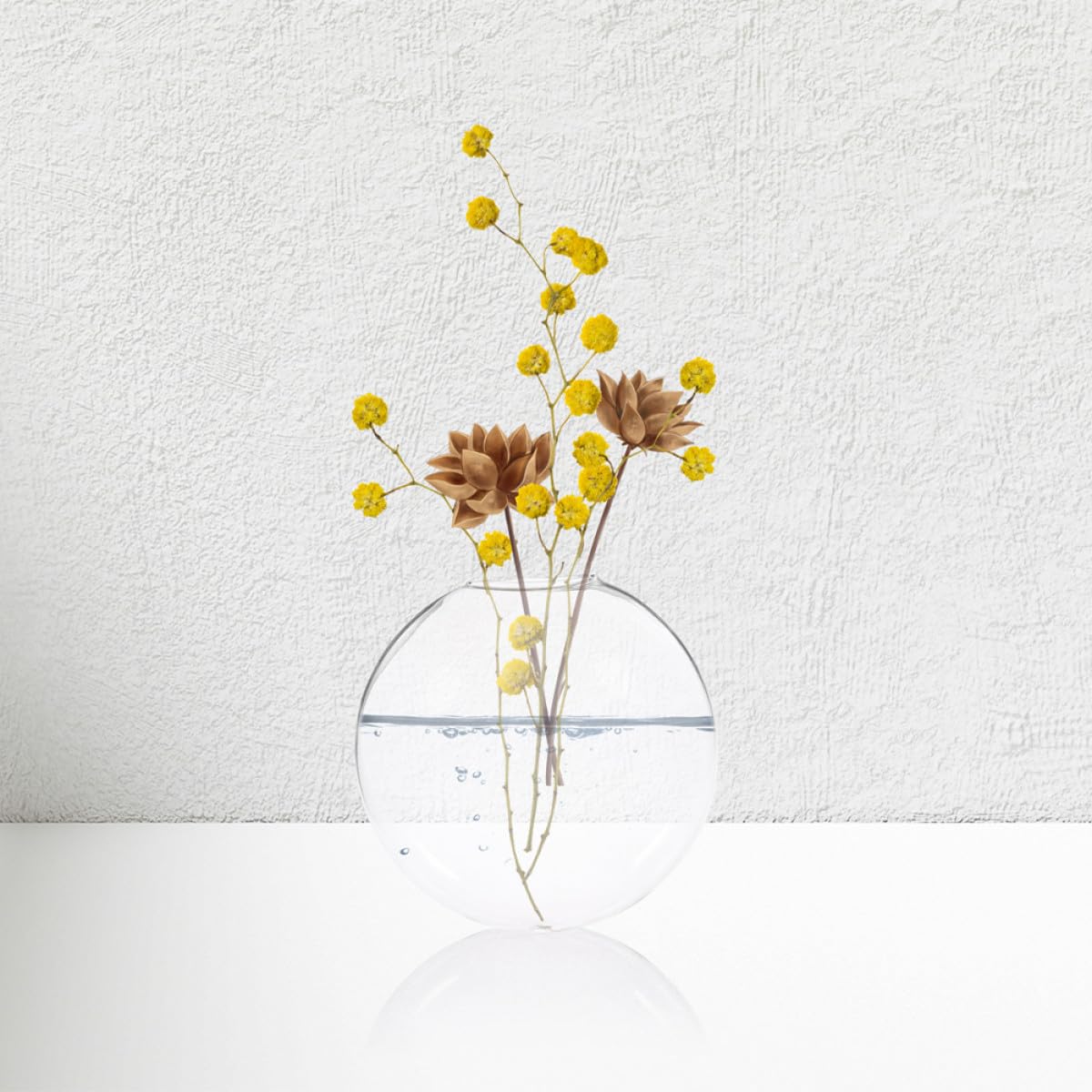 BESTonZON 6pcs Wall Mounted Glass Hanging Vases for Indoor Plants Hydroponic Terrarium Bottles Small Glass Containers for Balcony Home Décor