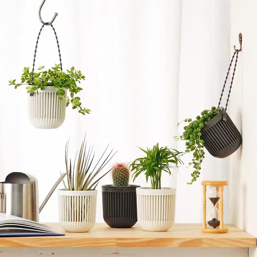 Succulent Tools and Plastic Succulent Pots