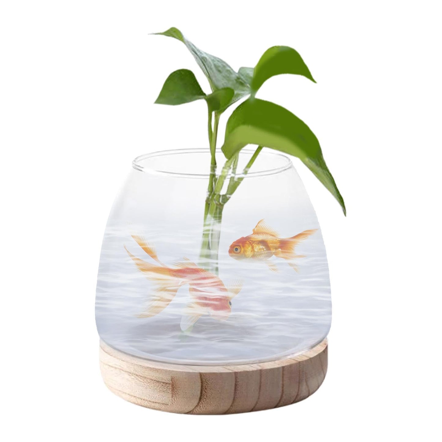 FQRDKT Glass Plant Holder with Wooden Base for Indoor Office Use, Large