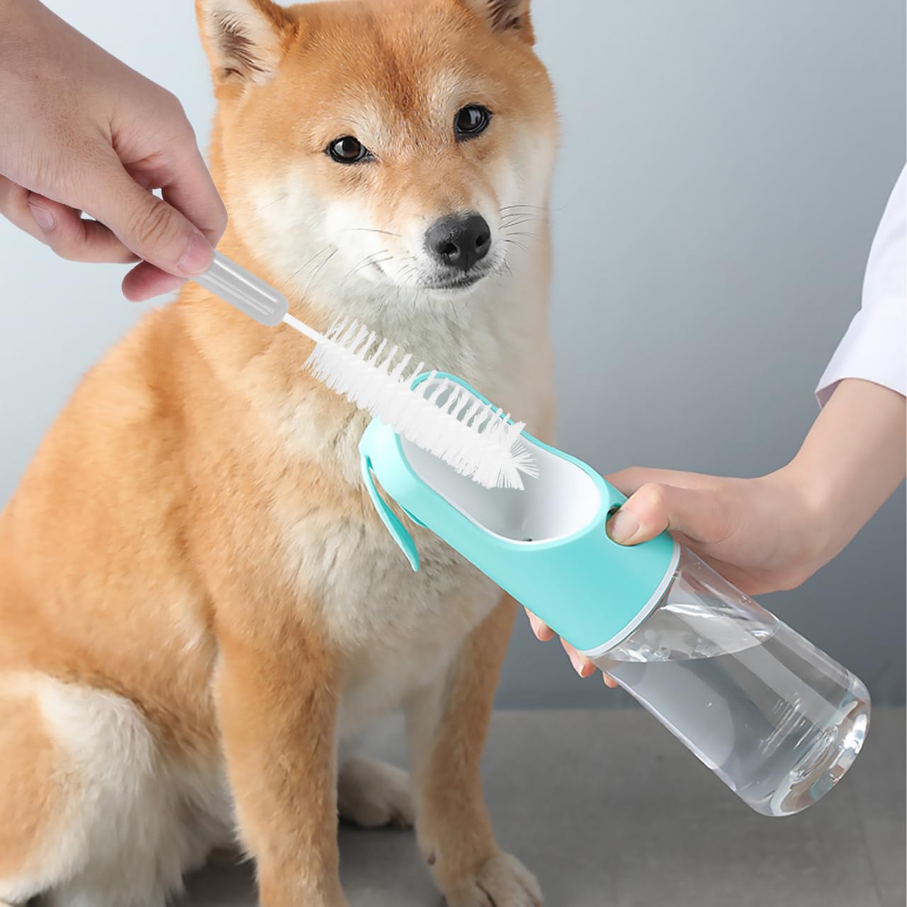 ERINGOGO 1Set Pet Feeder Water Fountain Cleaning Set Tools with Long Handle Brushes for Efficient Daily Care for Dog Cat Owners Gray