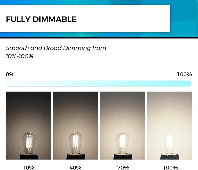 Hizashi Vintage LED Edison Bulb Dimmable, 6W Equivalent 60W, 4000k Neutral White, E26 Base Led Light Bulbs, 700LM, High CRI 95+ Eye Protection, Clear Glass, Pack of 12