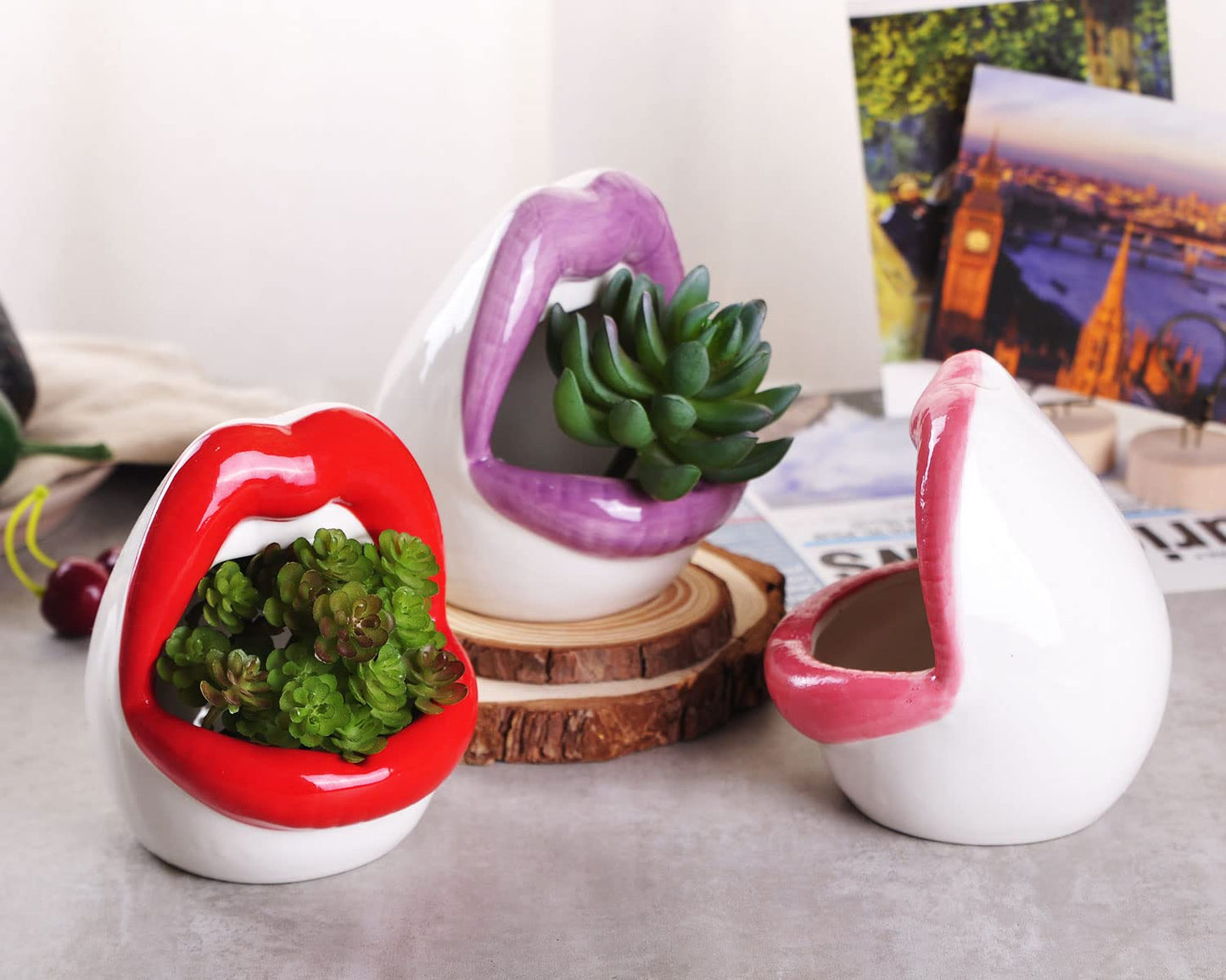 WHJY Sexy Lips Planter Pot, Ceramic Succulent Planter - Pink