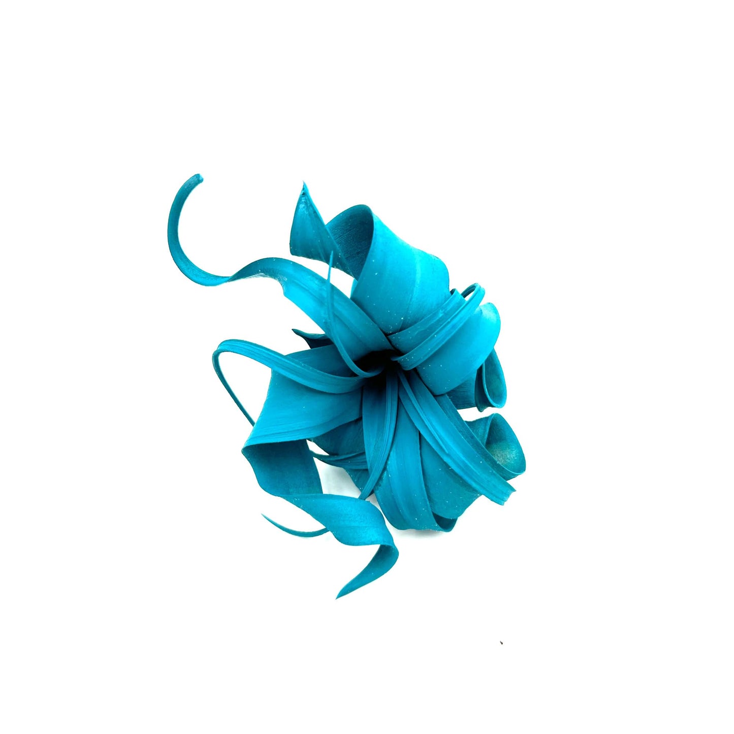 ragnaroc Air Plants - Dyed Tillandsia Xerographica Pup, Large 2-4" (Miami Teal) - 1ct - Live Arrival Guaranteed - House Plants for Home Decor & Gift