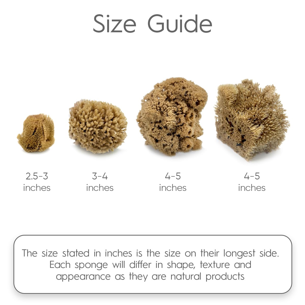 Naroa Artist Natural Sea Sponges for Painting 4 Pack | Unique Tool Set Unbleached | Great for Artists & Children | Acrylic, Watercolor, Marbling, Texturing, Pottery, Ceramics