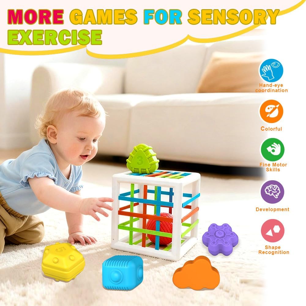 EasierLTtoys Suitable for 1-Year-Old Babies, 6-piece Multi-Sensory Shape Toys, Early Childhood Development Learning Birthday Gift, 12-Month Baby Toys