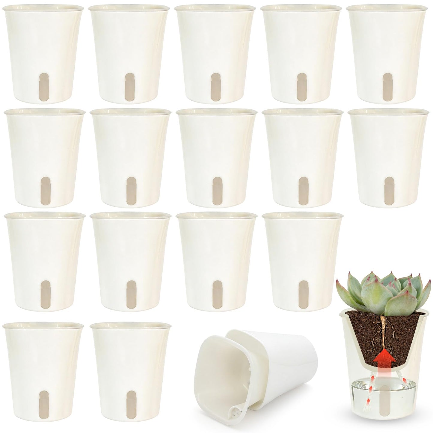 Canumer 35 Pcs 3-Inch Self Watering Pots for Indoor Plants, Plastic Planters with Water Level Indicator & Vent Holes, Ideal for Succulents, Herbs, and Flowers