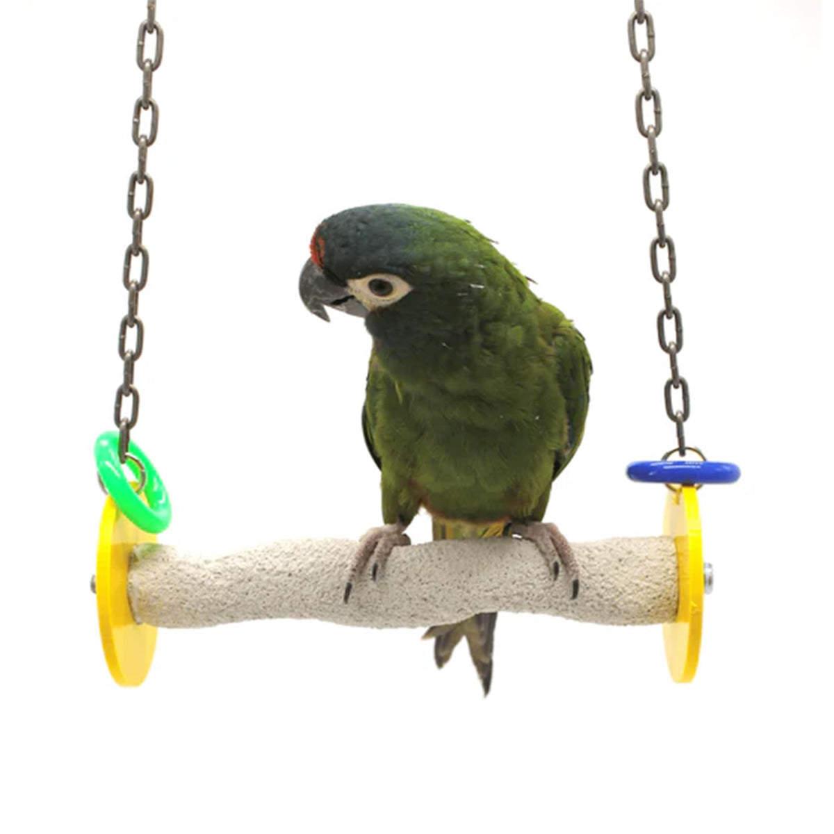 Sweet Feet and Beak Roll Bird Swing, African Grey, Medium, Blue