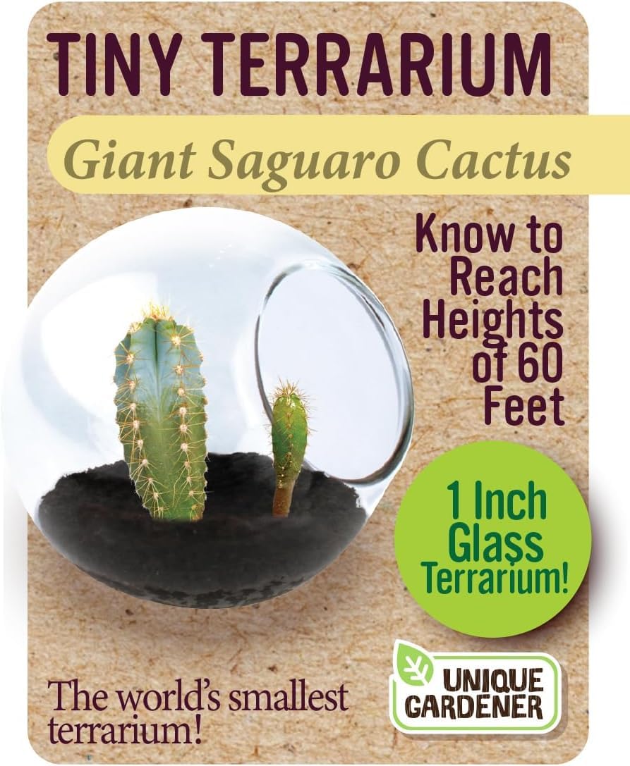 Unique Gardener Tiny Terrarium Plant Seeds 6 Variety Cacti Pack, DIY Indoor Succulents and Live Plants for Home or Garden Planting, Assorted Cacti Pack