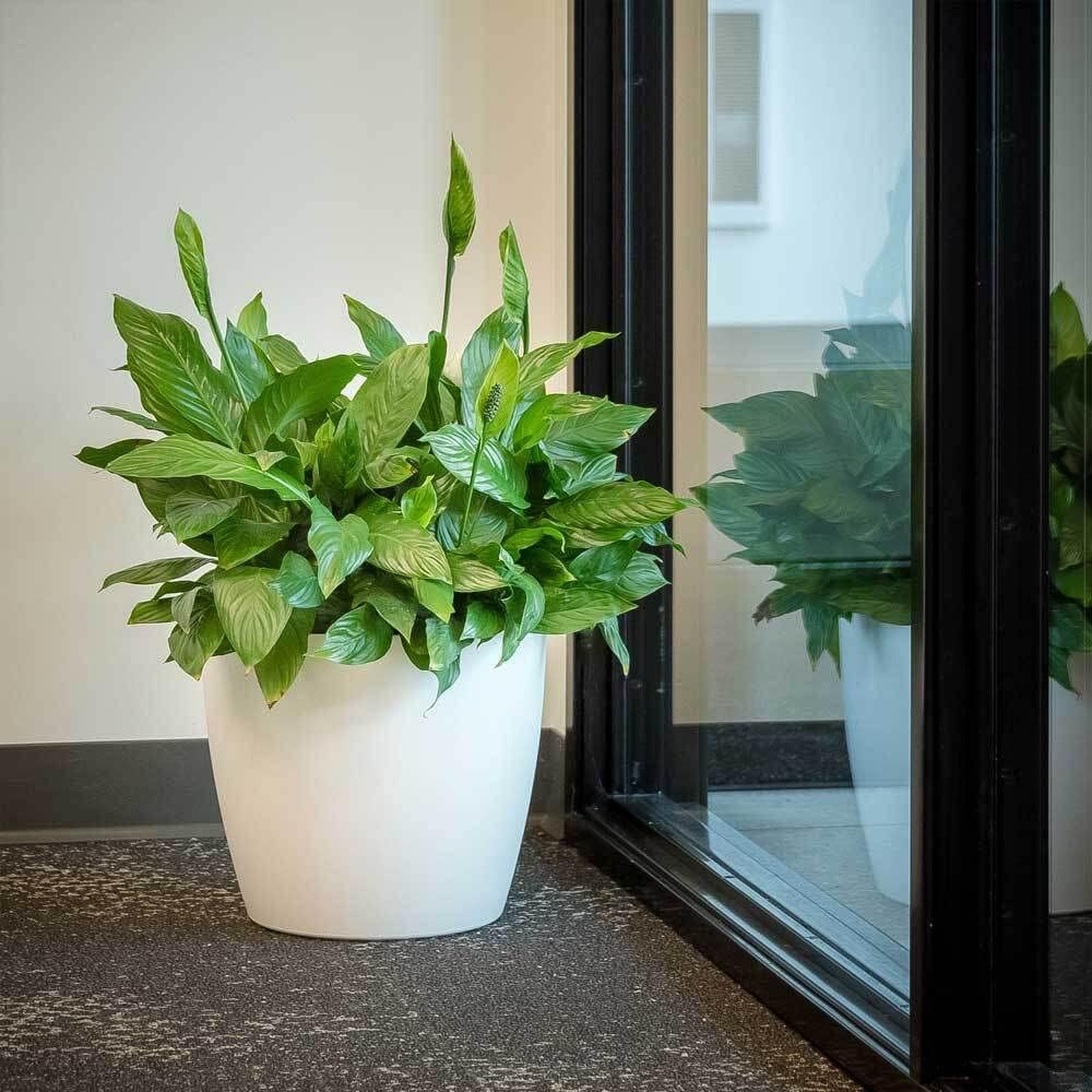 Greenline Manufacturing Memphis 18" Round Indoor Floor Planter Pot – Lightweight & Durable Plastic, Modern Design, Made in USA, Recyclable Large Plant Container for Home & Office Décor (White)