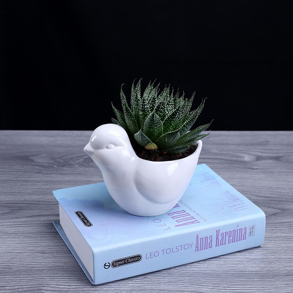 Mikikit Ceramic Bird Shape Succulent Plant Pot with Saucer, White Small Indoor Flower Planter for Desktop Garden Decor