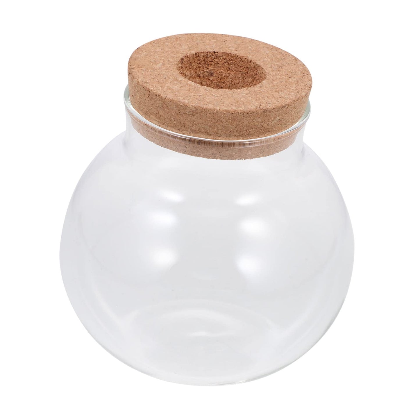 YARNOW Small Moss Plant Bottle for Micro Landscaping Glass Fish Keeping Container for Home Decor for Diy Terrarium Aquatic Plants and Moss Arrangements