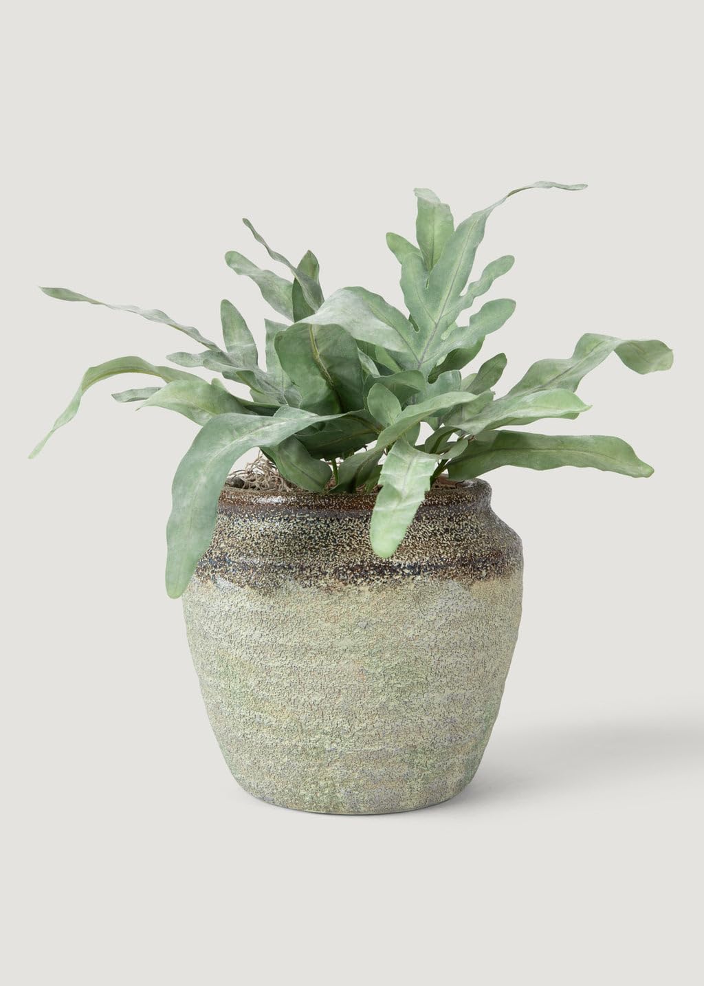 8.5-Inch Artificial Echeveria Fern Drop-in, Lifelike Faux Succulent for Small Planters