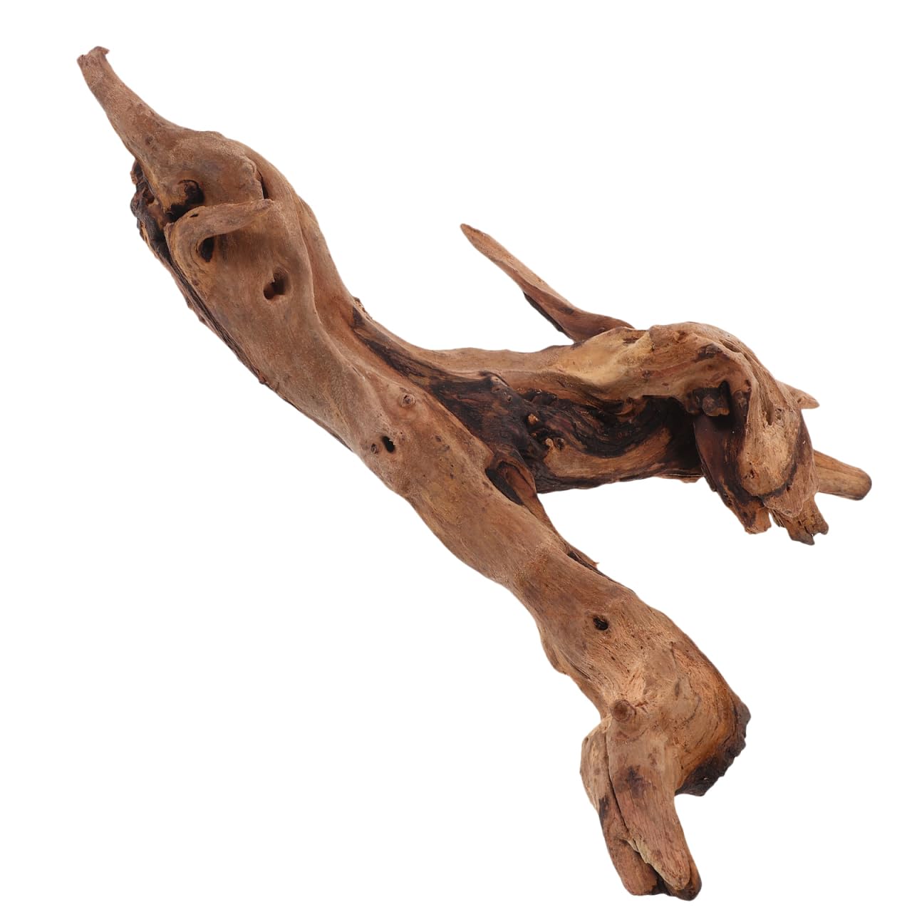 POPETPOP Natural Driftwood for Aquarium Decor - 9.8×5.9" Unique Wood Branch Fish Tank Decorations & Reptile Tank Accessories, Drift Wood Log for Leopard Gecko Terrarium Accessories