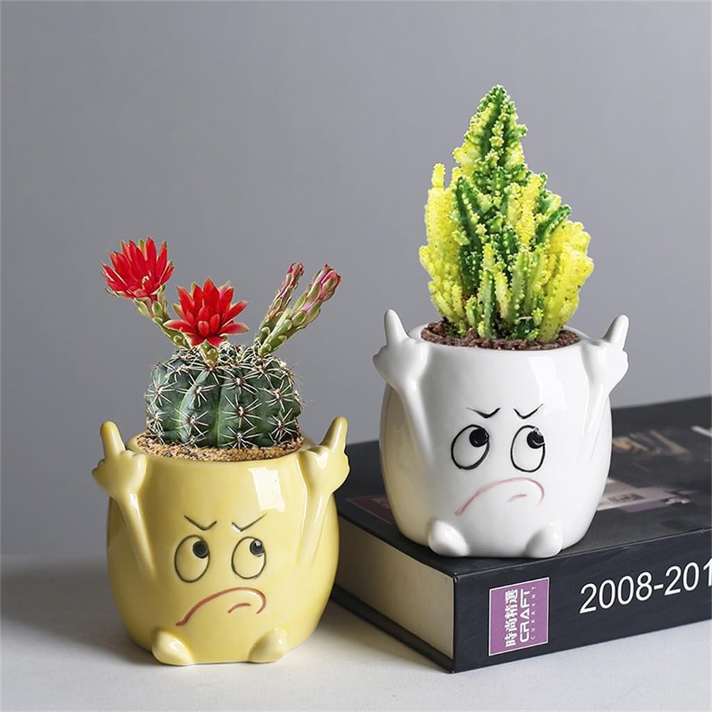 Gemseek Funny Face Succulent Planter Pot with Drainage Tray, Small White Ceramic Cactus Flower Container, Cute Decorative Indoor Air Plants Holder